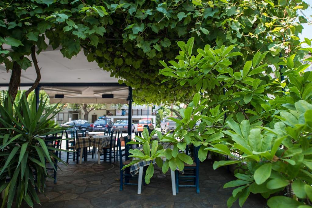 Hotel Alexandros Neoi Poroi Extérieur photo