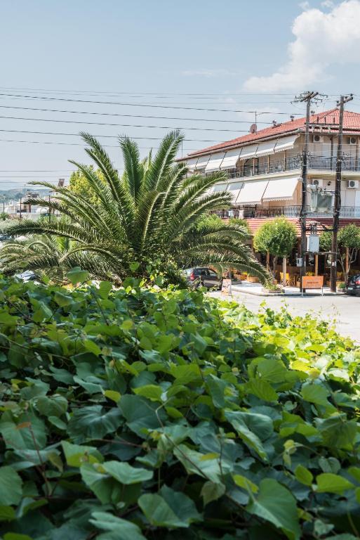 Hotel Alexandros Neoi Poroi Chambre photo